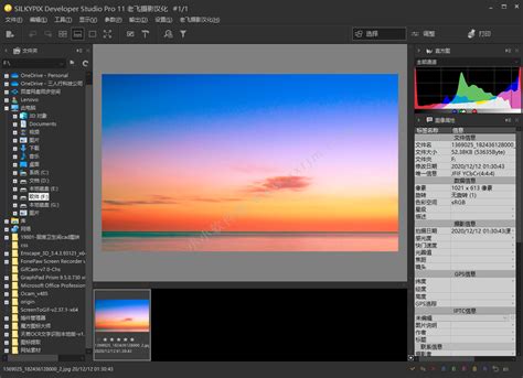 SILKYPIX Developer Studio Pro